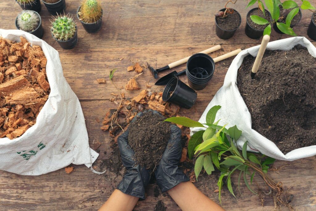 Convertir tu huerto ecológico en remedios caseros